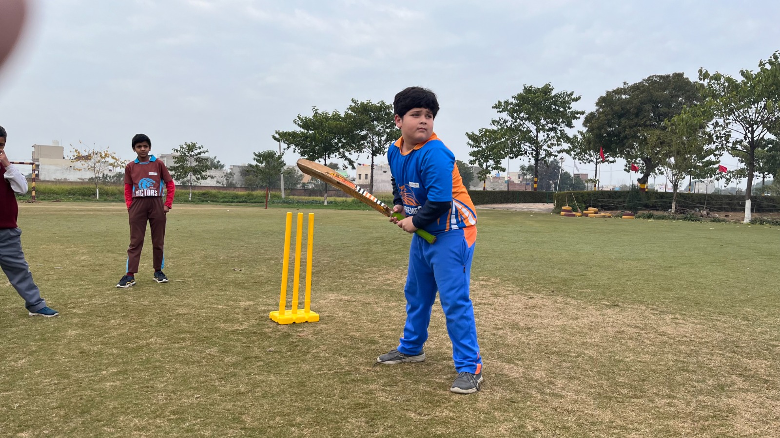 Cricket